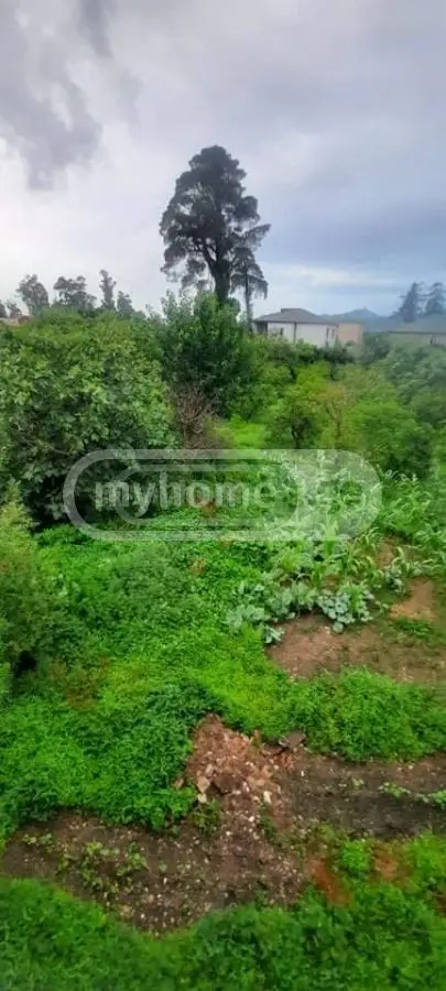 For Sale Ara Sasoplo-Sameurneo Land Plot In Batumi view 4