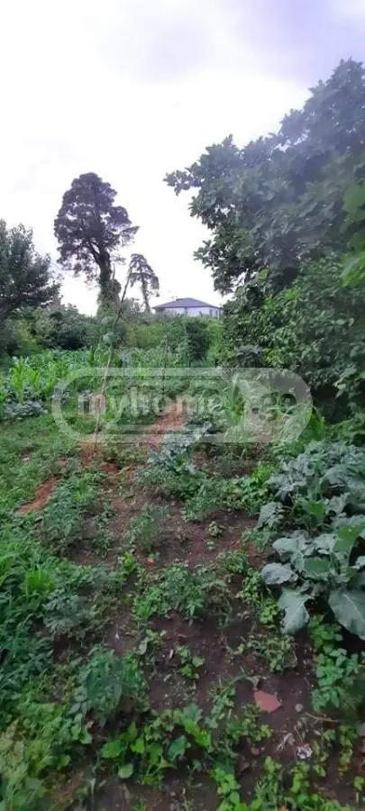 For Sale Ara Sasoplo-Sameurneo Land Plot In Batumi view 6