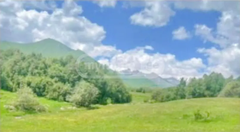For Sale Sasoplo-Sameurneo Land Plot Gudaurshi view 9