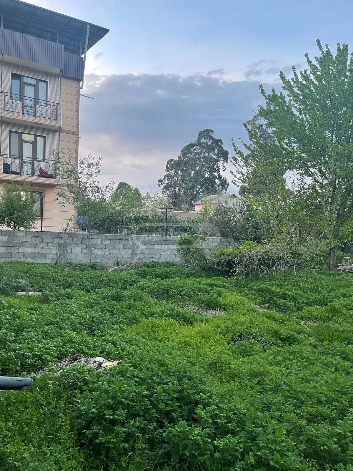 For Sale Ara Sasoplo-Sameurneo Land Plot In Batumi view 2