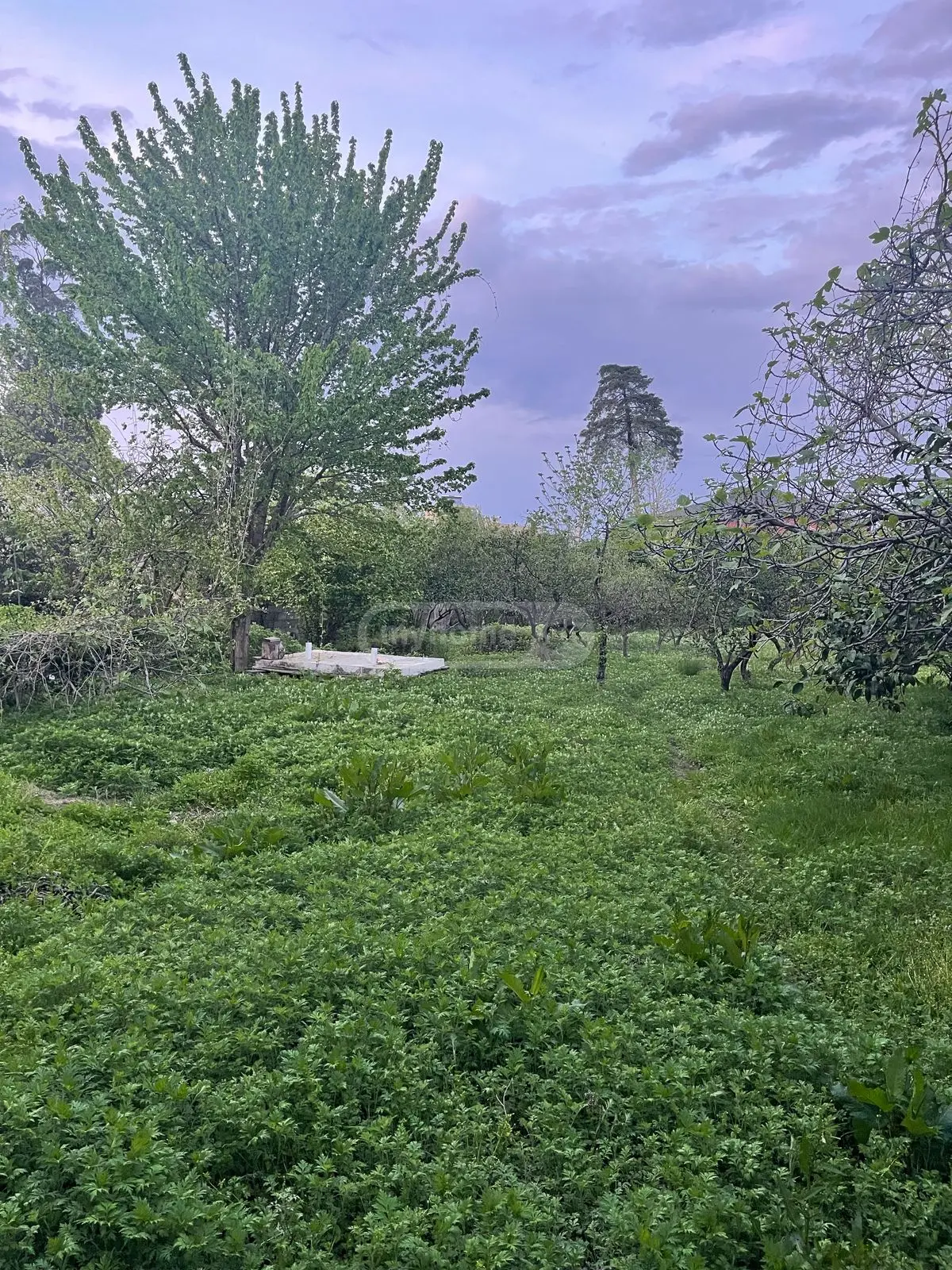 For Sale Ara Sasoplo-Sameurneo Land Plot In Batumi view 3