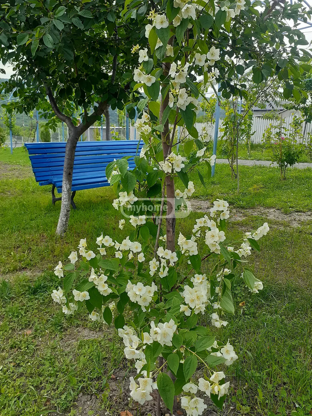 For Rent 6 Room Country House Mtskhetashi view 4