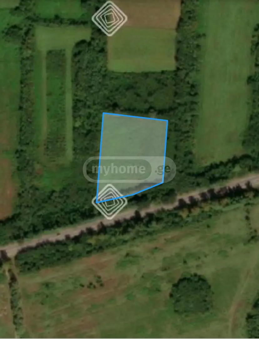 For Sale Ara Sasoplo-Sameurneo Land Plot Samtrediashi view 2