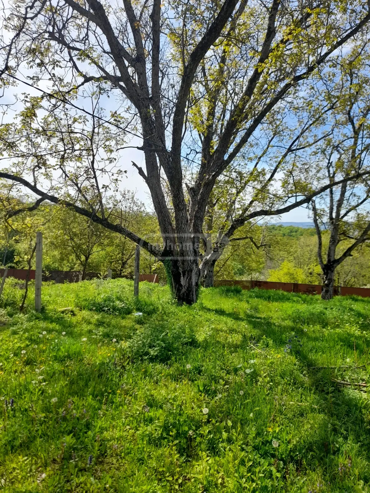 For Sale 3 Room Private House Sagarejoshi view 10