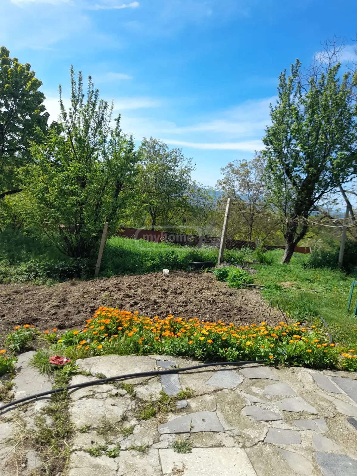 For Sale 3 Room Private House Sagarejoshi view 9