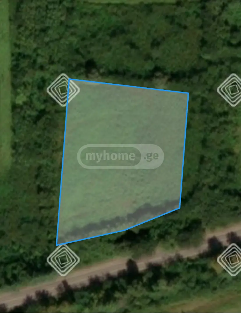 For Sale Ara Sasoplo-Sameurneo Land Plot Samtrediashi view 1