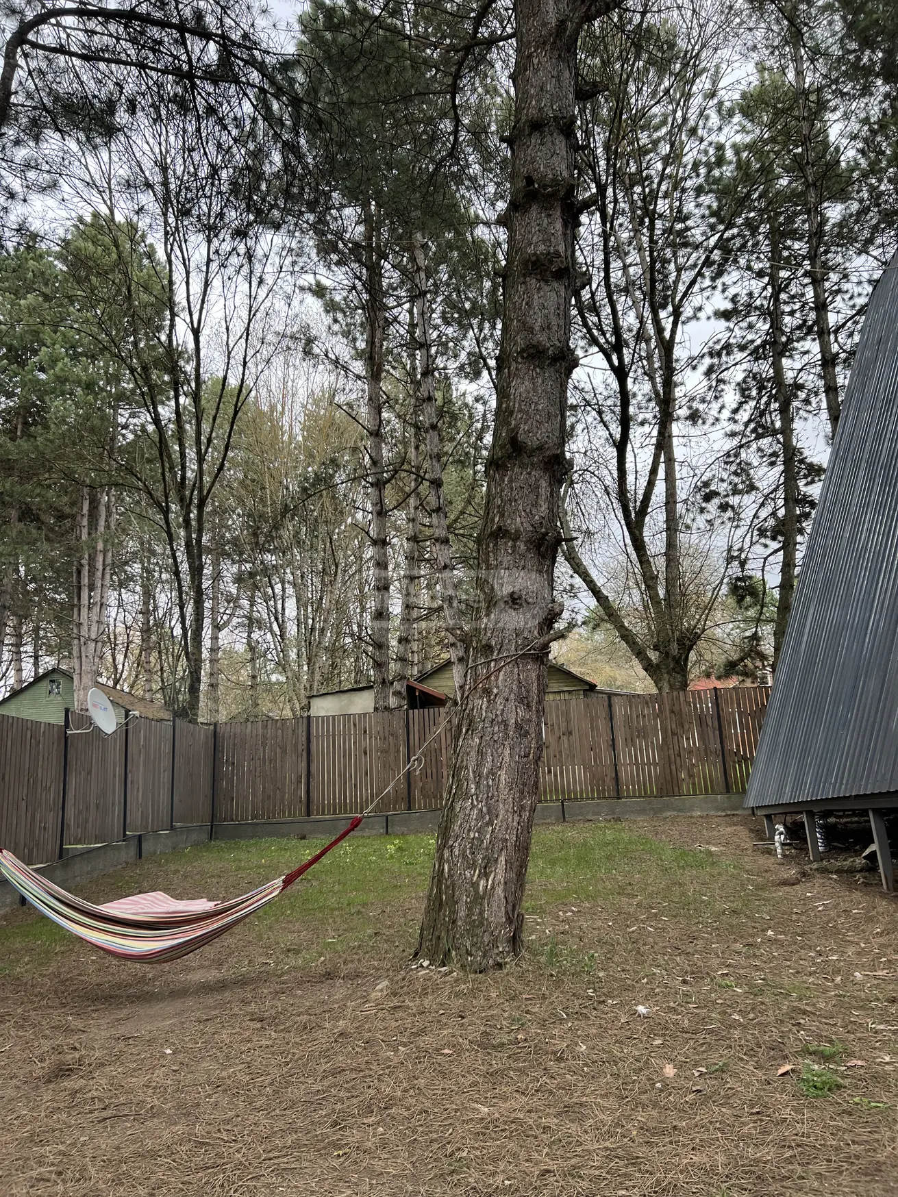 Продажа 4-комната Загородный дом в Tianetis Munitsipalitetshi view 9
