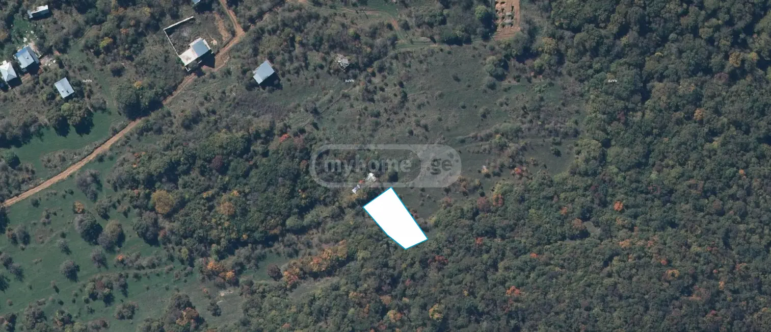 For Sale Sasoplo-Sameurneo Land Plot Kojorshi view 1