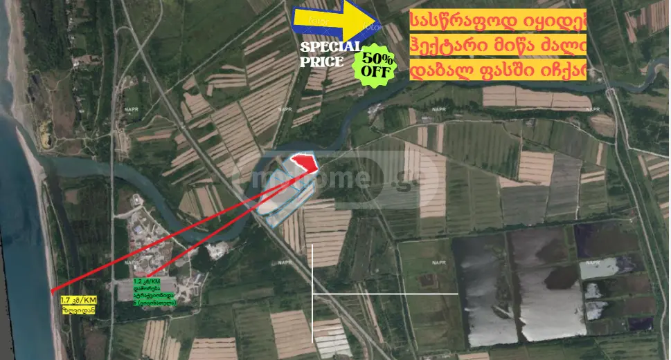 For Sale Sasoplo-Sameurneo Land Plot Ozurgetis Munitsipalitetshi view 1
