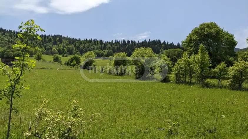 For Sale Sasoplo-Sameurneo Land Plot Borjomis Munitsipalitetshi view 1