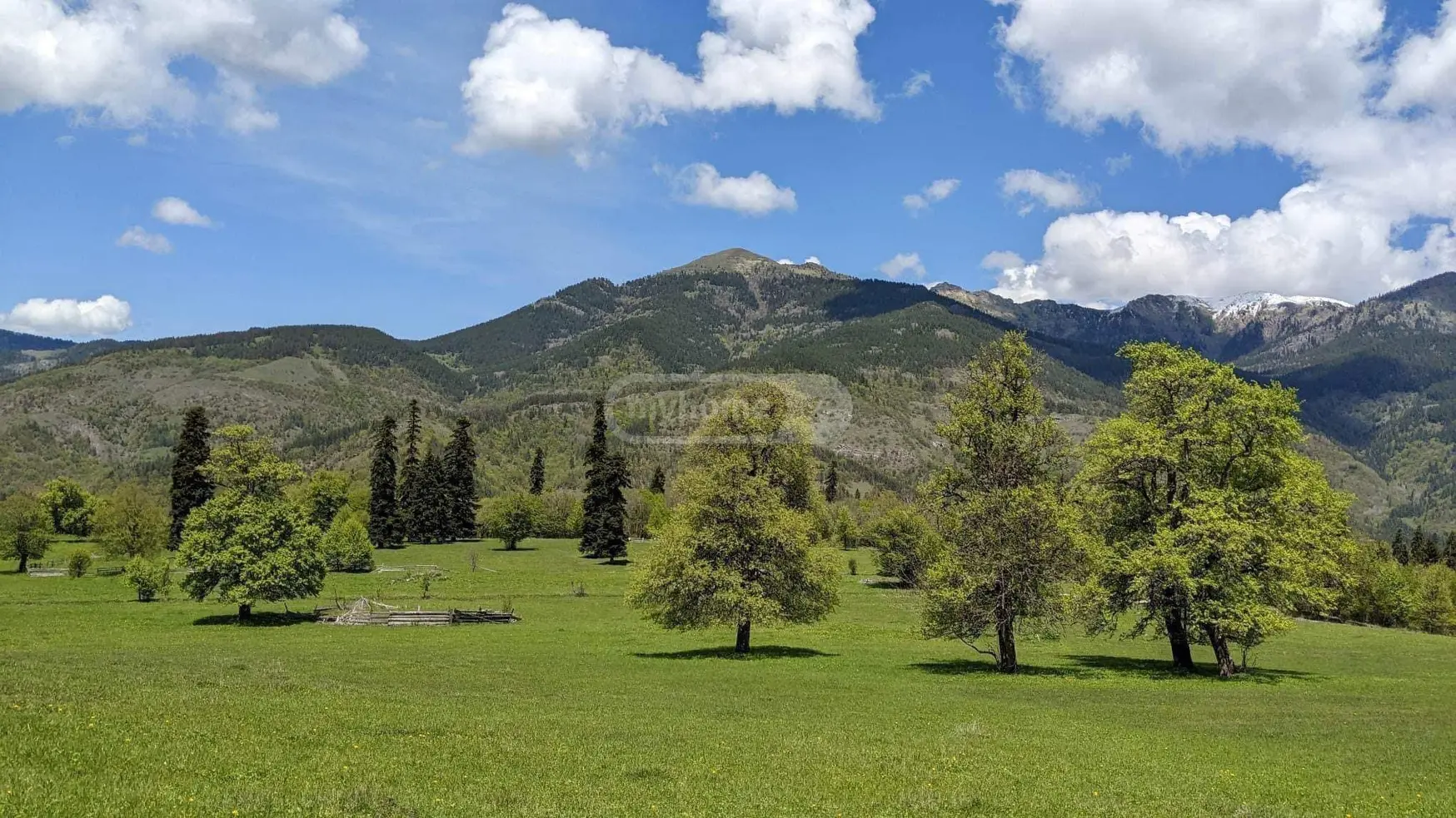 For Sale Sasoplo-Sameurneo Land Plot Borjomis Munitsipalitetshi view 2
