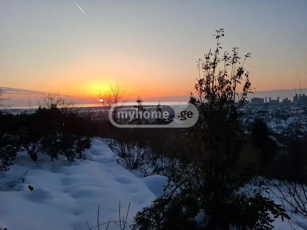 For Sale Sasoplo-Sameurneo Land Plot In Batumi view 2