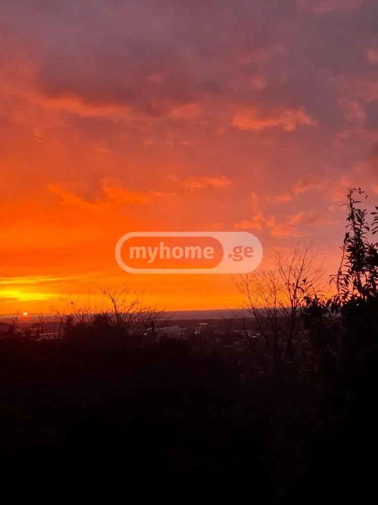 For Sale Sasoplo-Sameurneo Land Plot In Batumi view 3