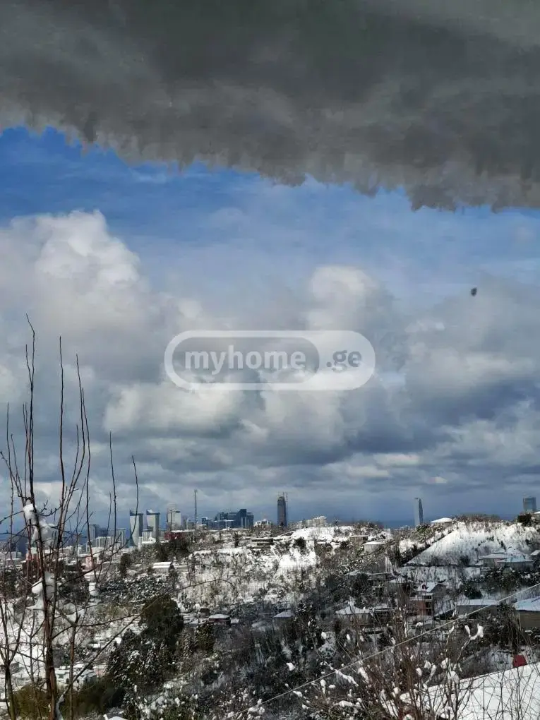 For Sale Sasoplo-Sameurneo Land Plot In Batumi view 4