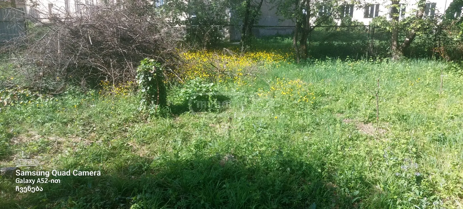 For Sale 6 Room Country House Borjomshi view 12
