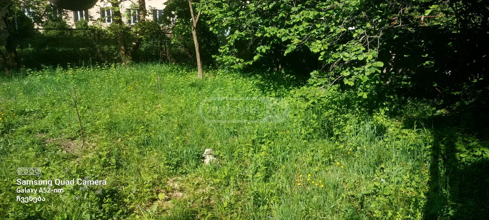 For Sale 6 Room Country House Borjomshi view 7