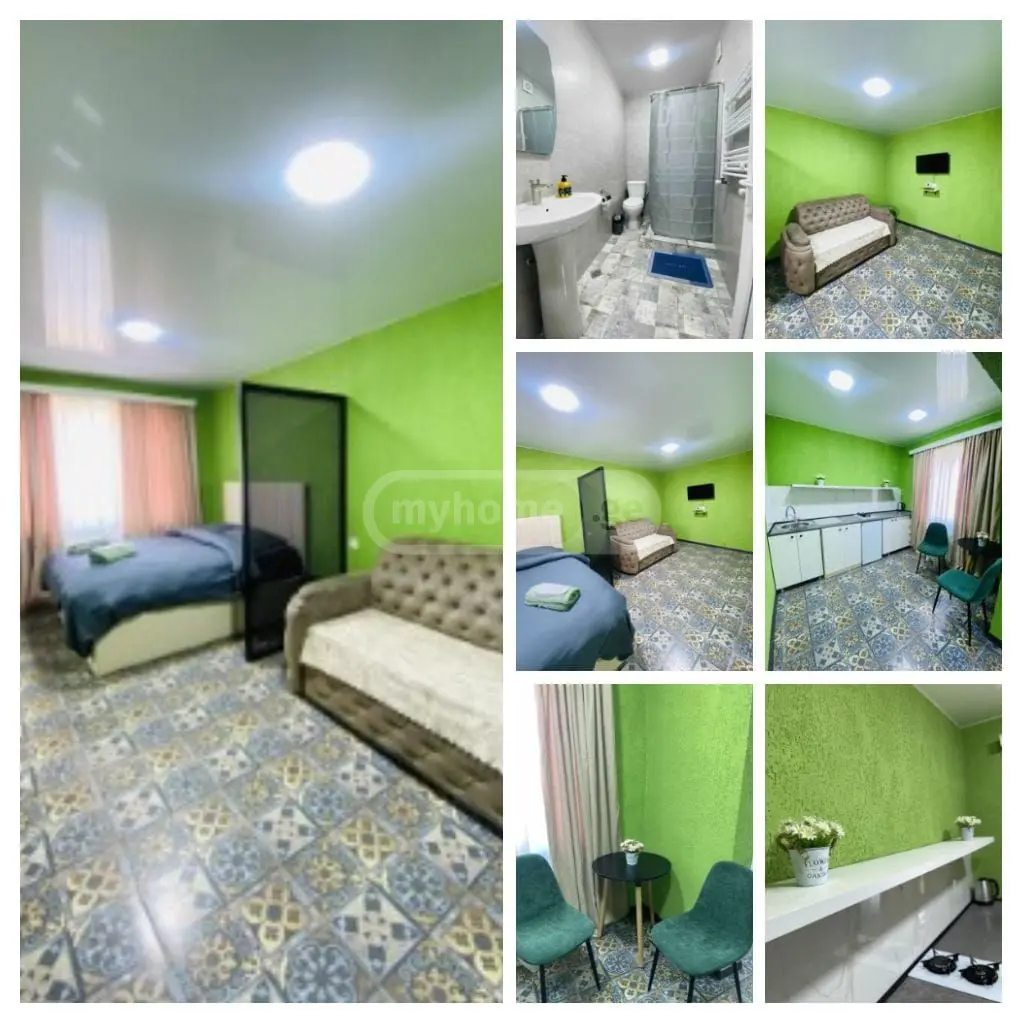 Daily Rent 1 Room Apartment Kutaisshi view 11