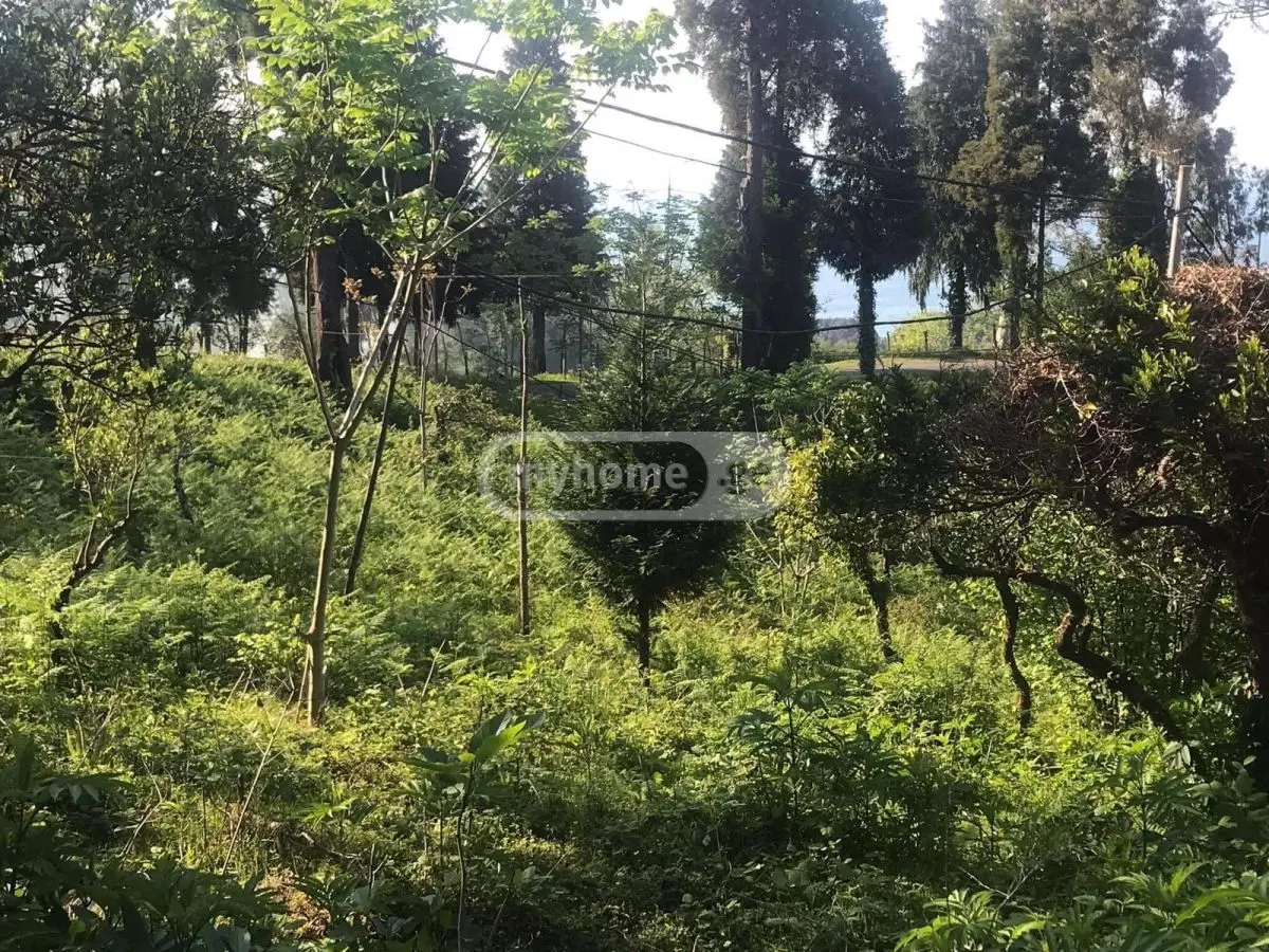 For Sale Sasoplo-Sameurneo Land Plot Kobuletis Munitsipalitetshi view 3