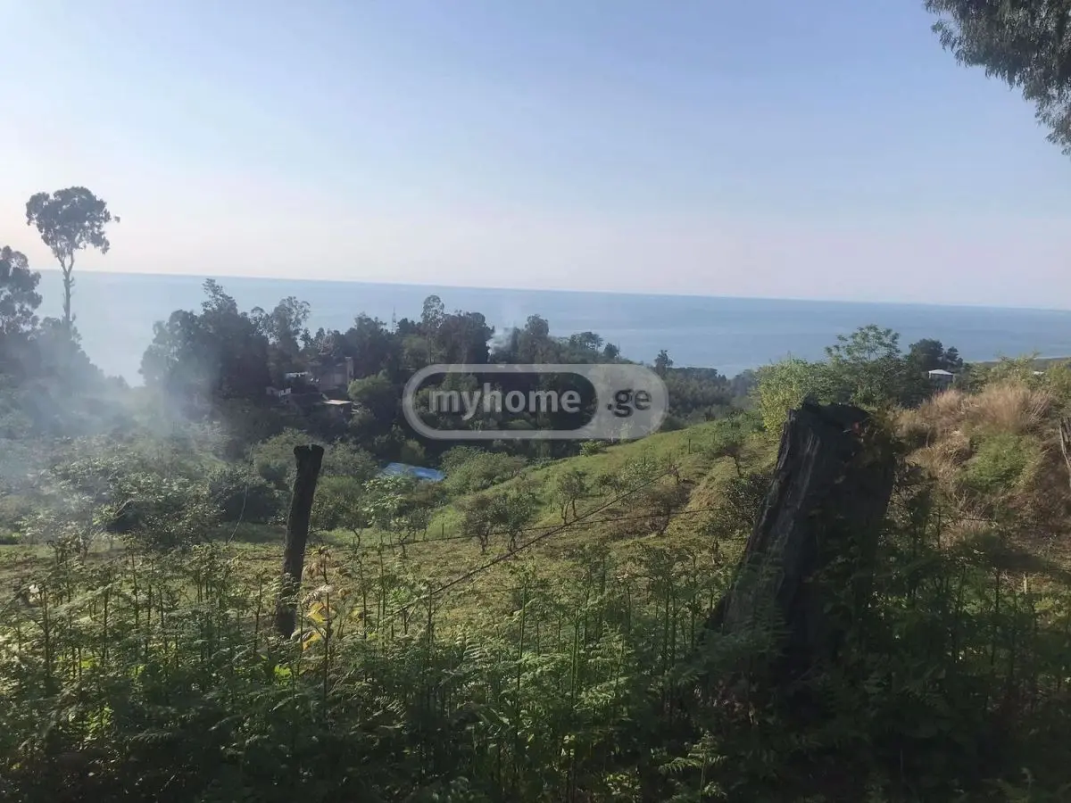 For Sale Sasoplo-Sameurneo Land Plot Kobuletis Munitsipalitetshi view 2