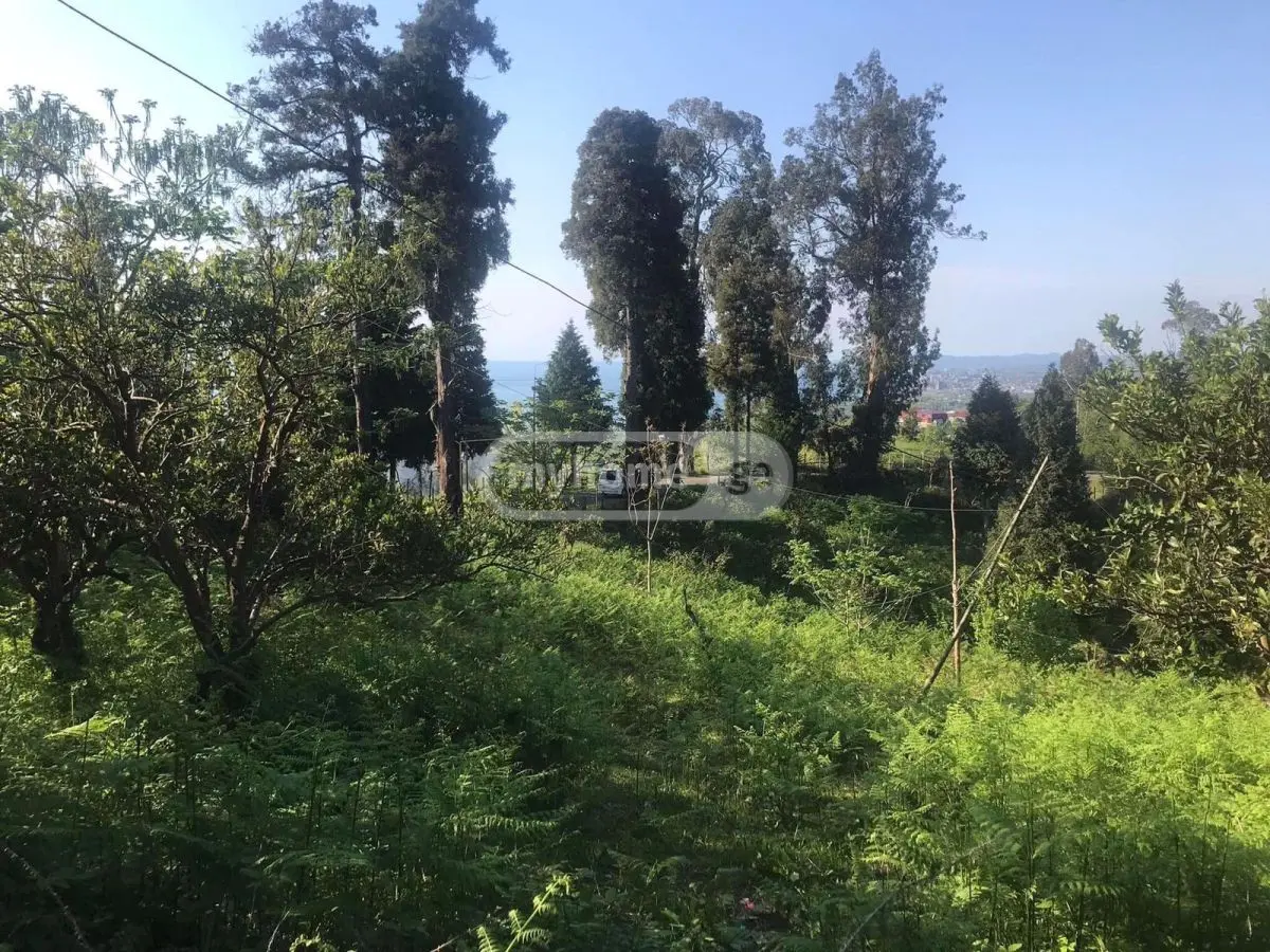 For Sale Sasoplo-Sameurneo Land Plot Kobuletis Munitsipalitetshi view 1