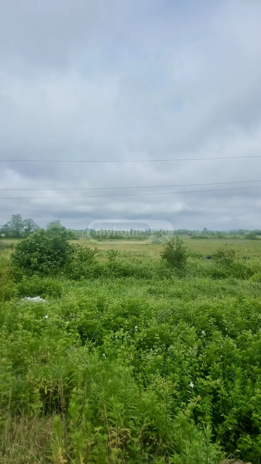 For Sale Sasoplo-Sameurneo Land Plot Kutaisshi view 3