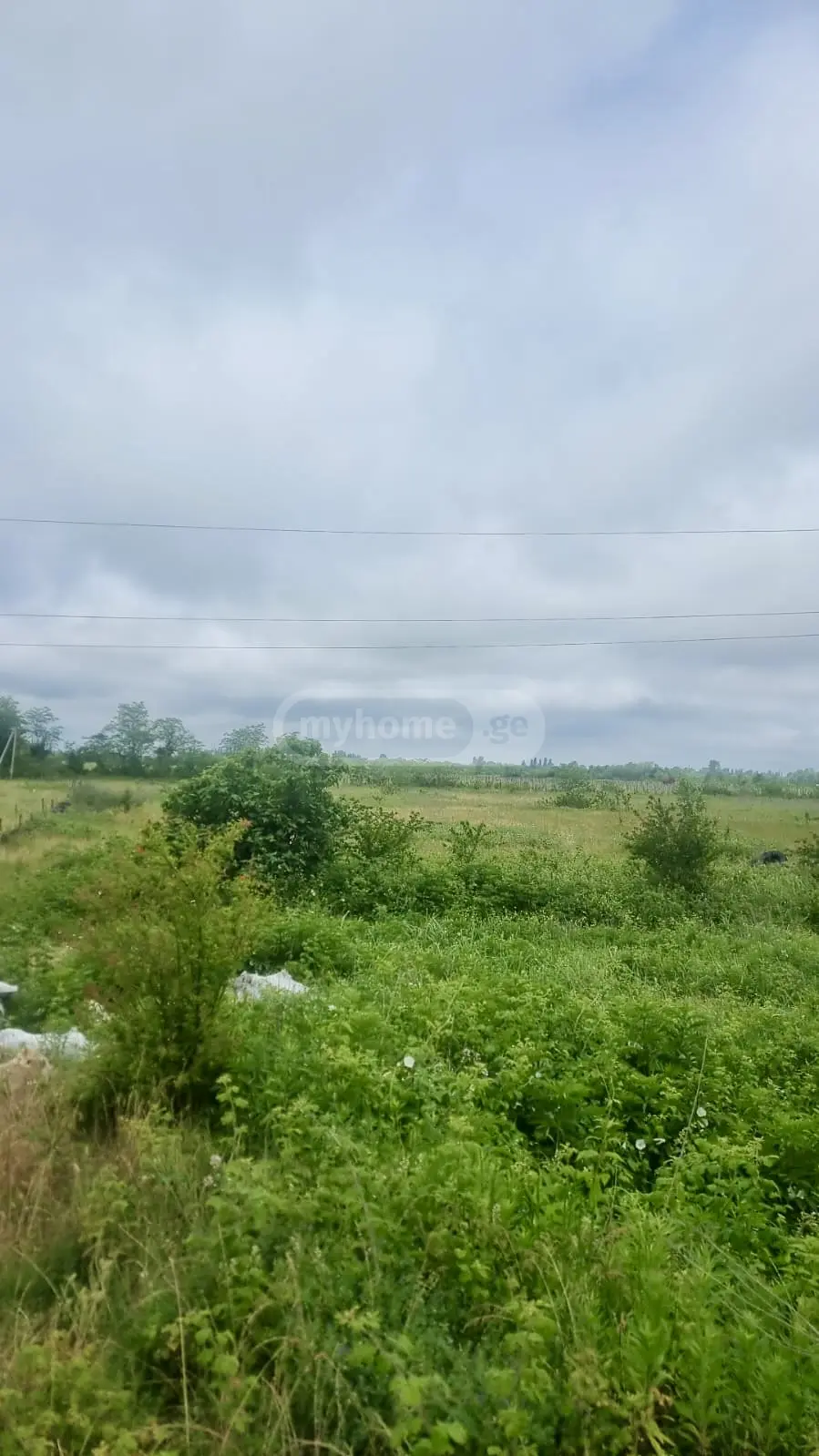 For Sale Sasoplo-Sameurneo Land Plot Kutaisshi view 2