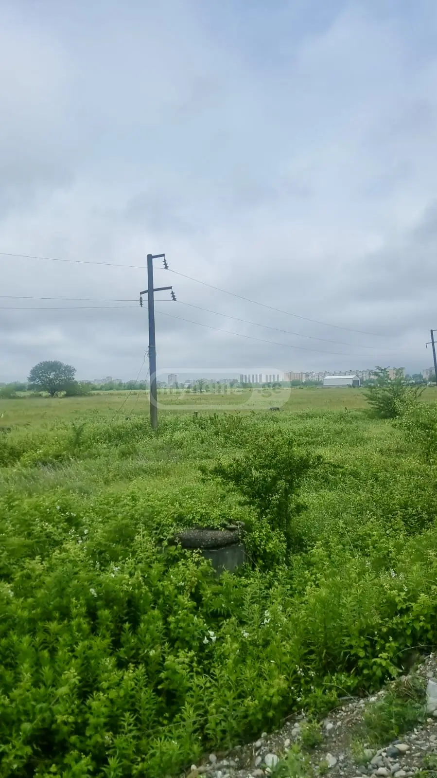 For Sale Sasoplo-Sameurneo Land Plot Kutaisshi view 5