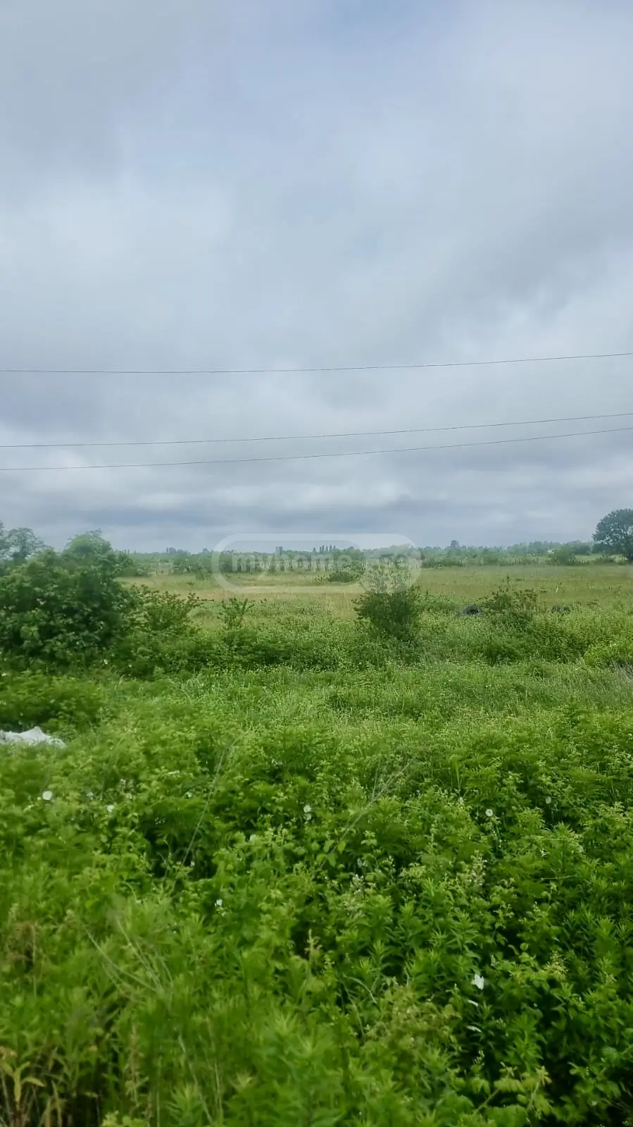 For Sale Sasoplo-Sameurneo Land Plot Kutaisshi view 4