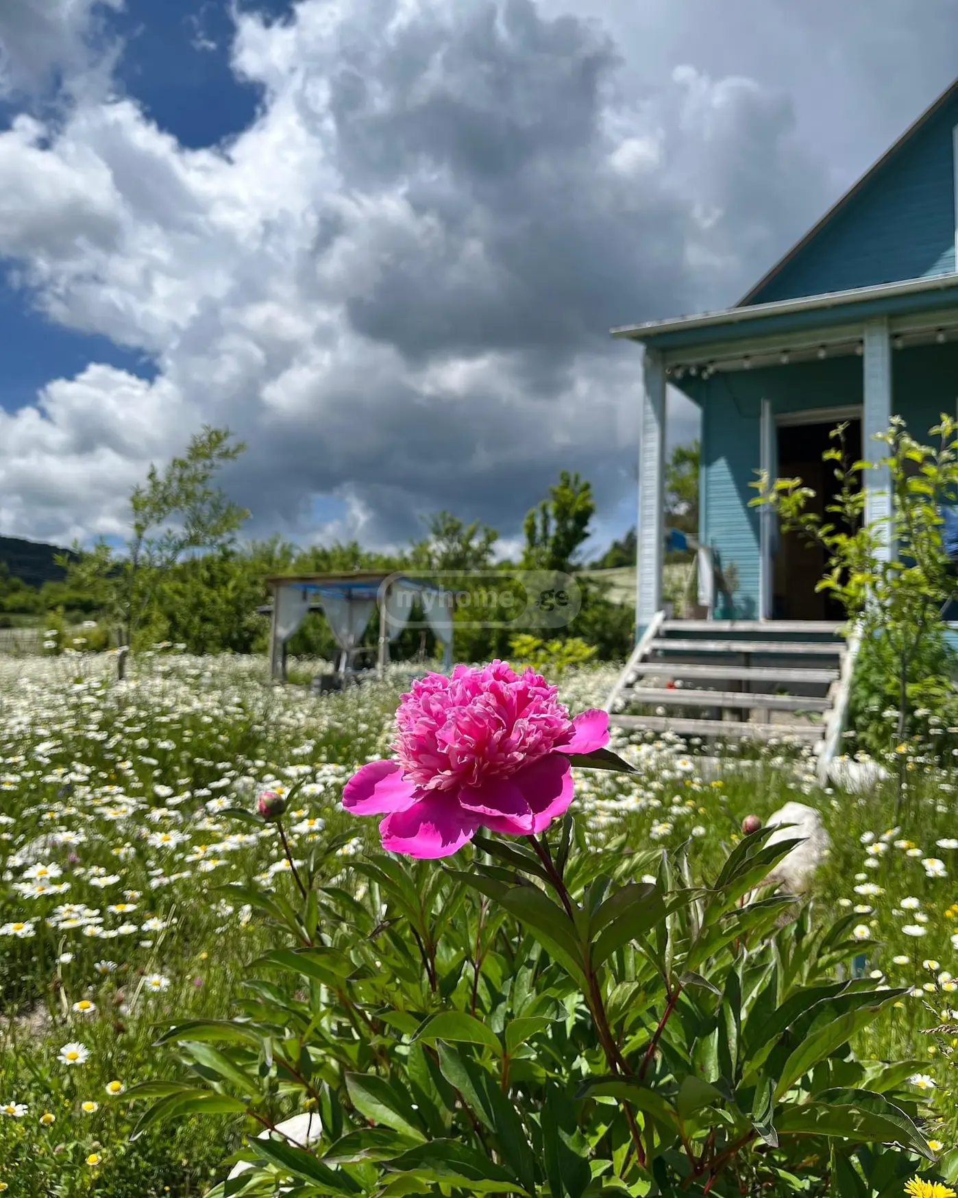 Daily Rent 2 Room Country House Tianetis Munitsipalitetshi view 11