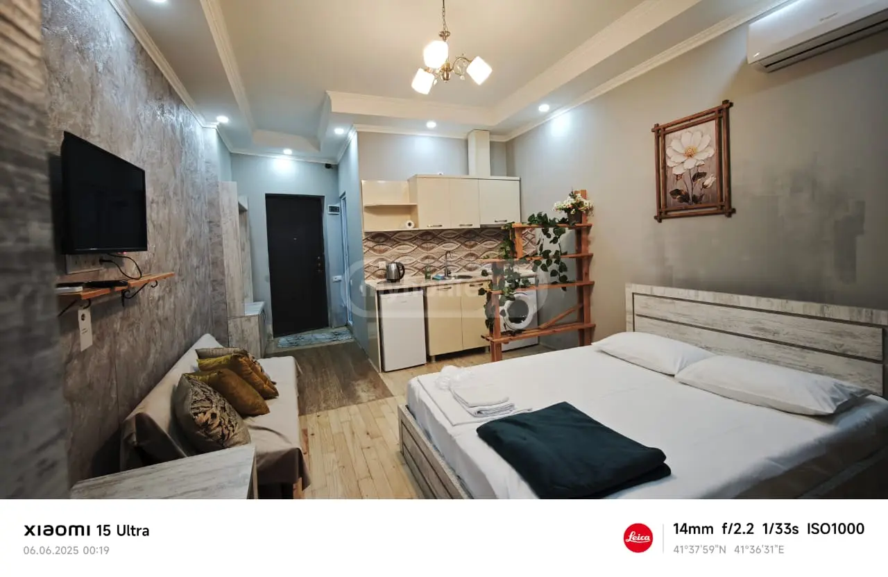 Daily Rent 1 Room Apartment view 6