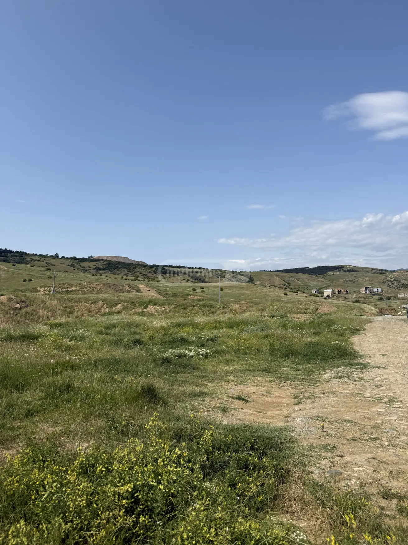 For Sale Ara Sasoplo-Sameurneo Land Plot In Didi Dighomi, 12 of 12