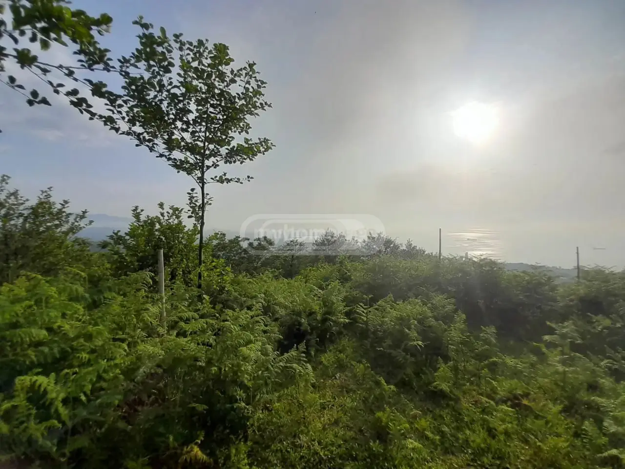For Sale Sasoplo-Sameurneo Land Plot In Batumi view 5