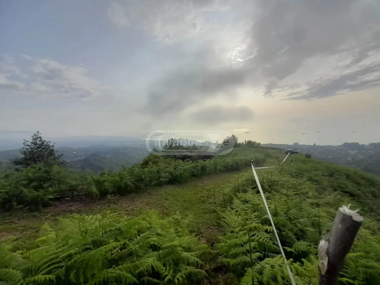 For Sale Sasoplo-Sameurneo Land Plot In Batumi view 2