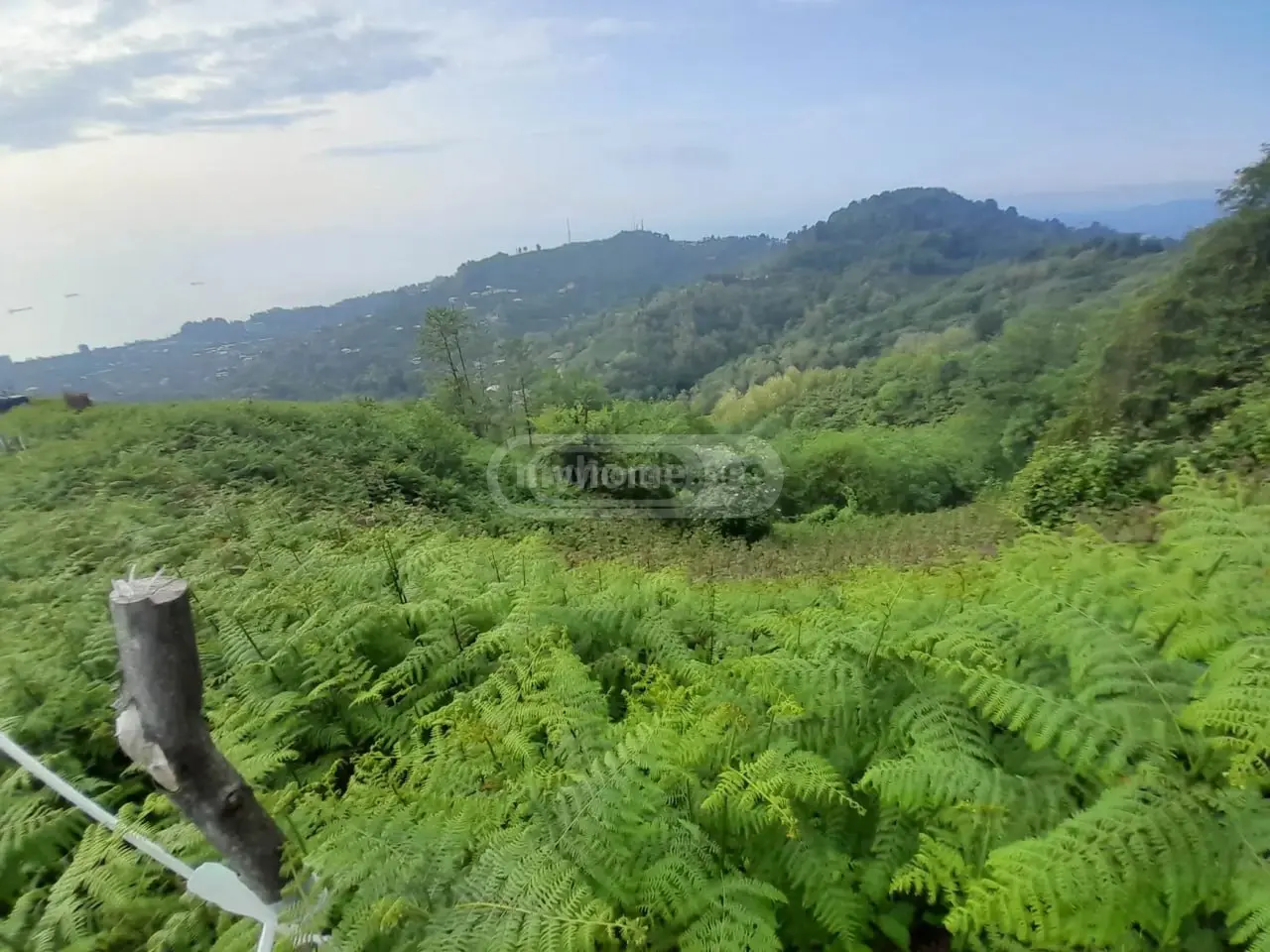 For Sale Sasoplo-Sameurneo Land Plot In Batumi view 10
