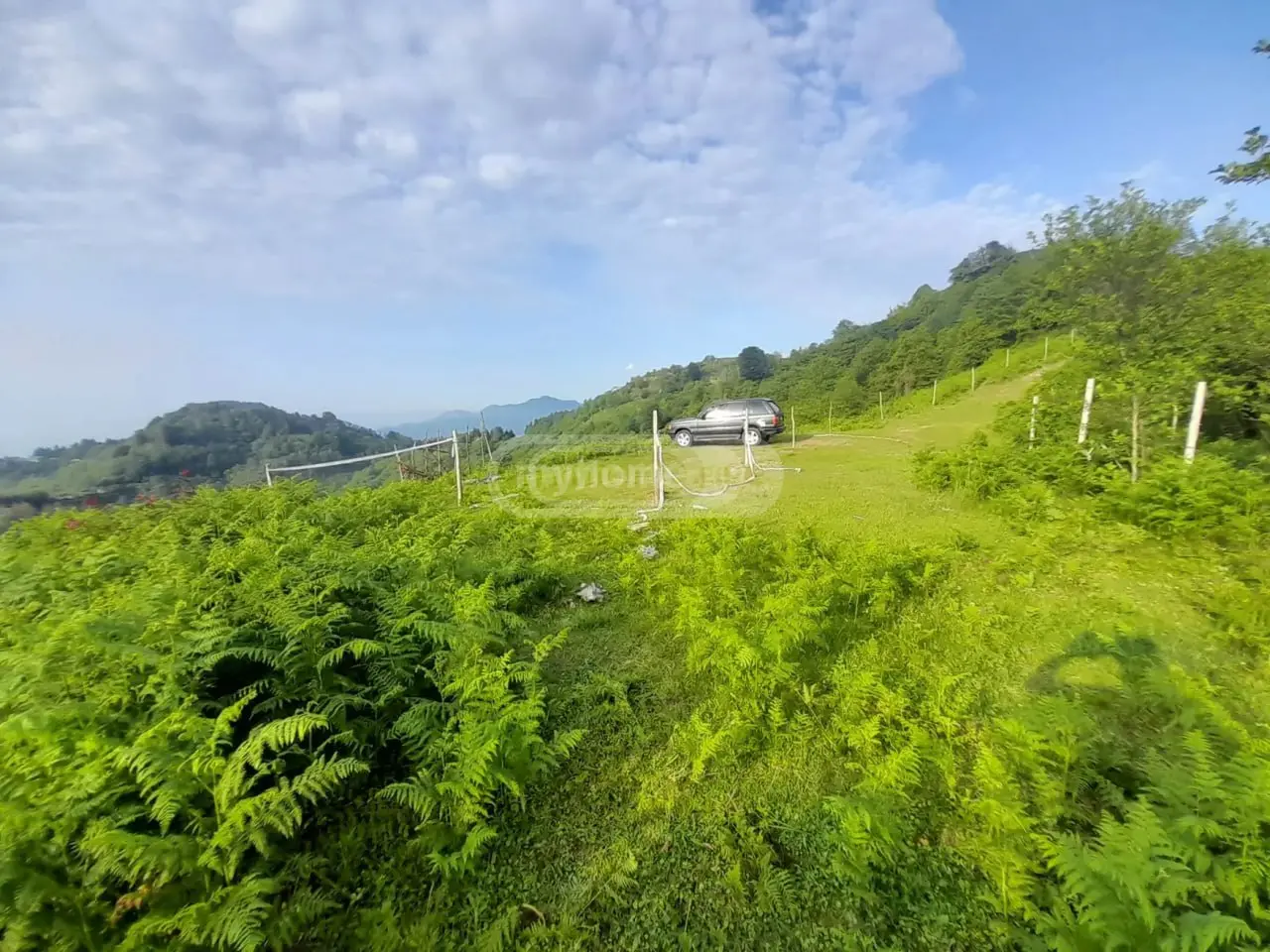 For Sale Sasoplo-Sameurneo Land Plot In Batumi view 7
