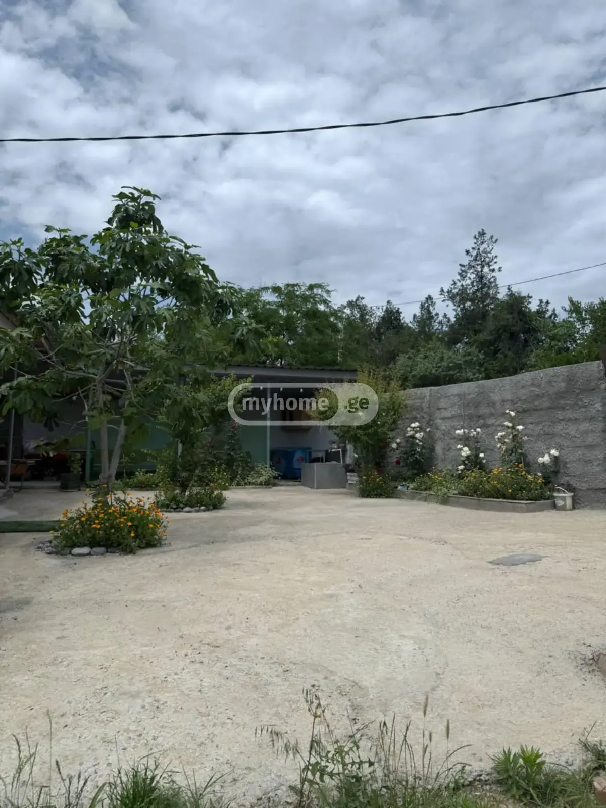 Daily Rent 3 Room Country House Samgorshi view 8