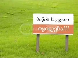 For Sale Sasoplo-Sameurneo Land Plot Liloshi, 1 of 1