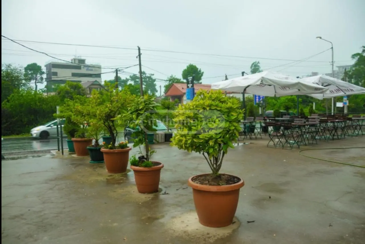 For Sale 10+ Room Sastumro Khelvachauris Munitsipalitetshi view 13
