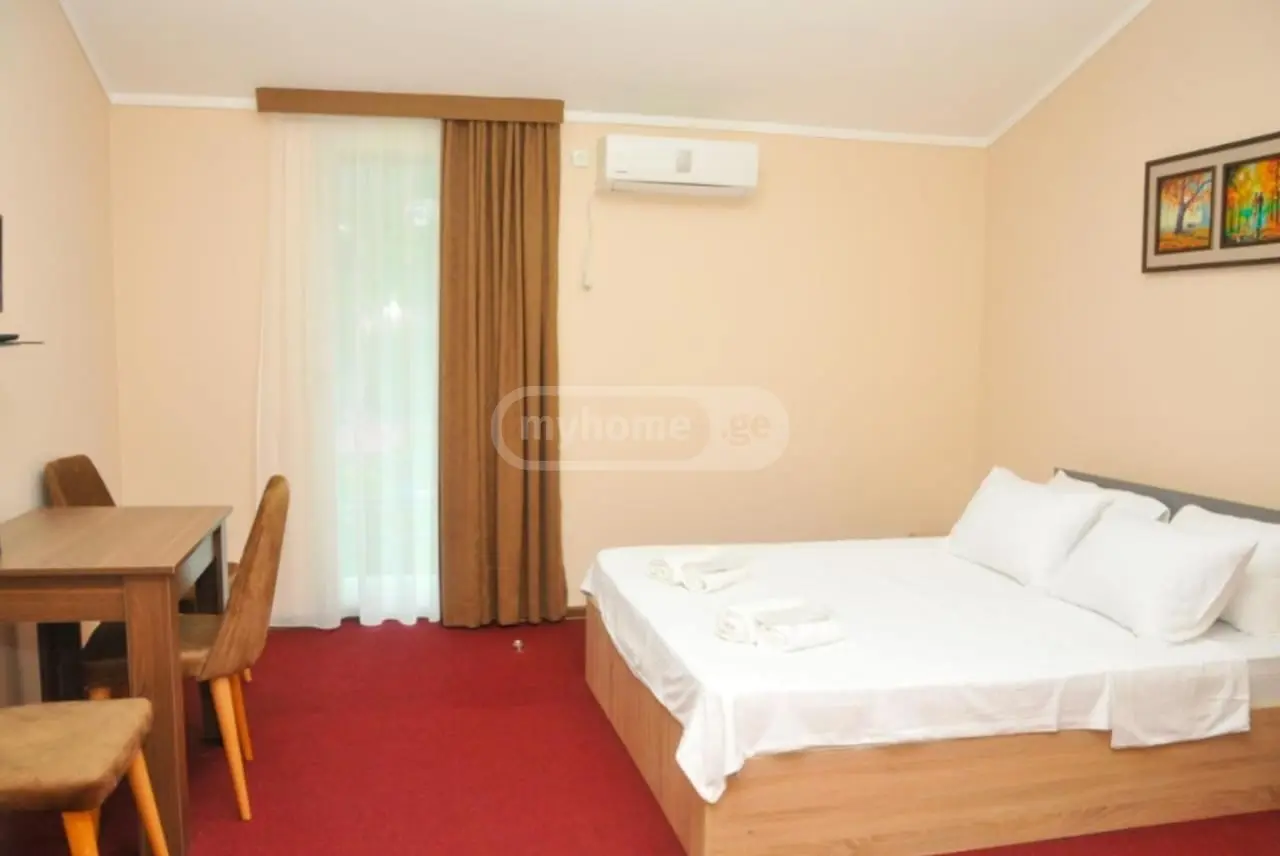 For Sale 10+ Room Sastumro Khelvachauris Munitsipalitetshi view 15