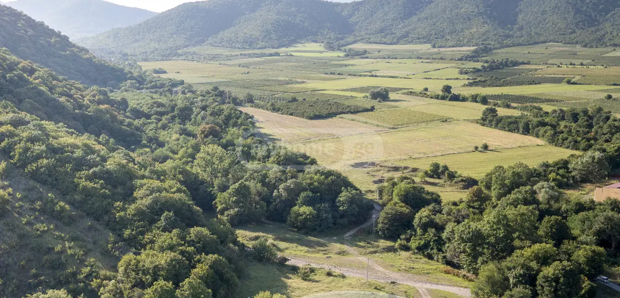 For Sale Spetsialuri Land Plot Qvarlis Munitsipalitetshi view 3