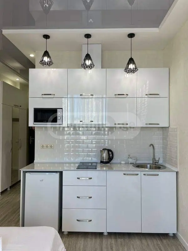 Daily Rent 1 Room Apartment, 4 of 10