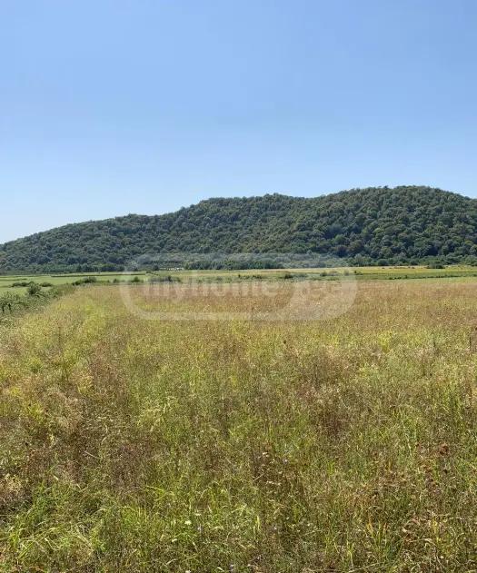 For Sale Spetsialuri Land Plot Qvarlis Munitsipalitetshi view 1