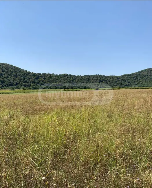 For Sale Spetsialuri Land Plot Qvarlis Munitsipalitetshi view 2