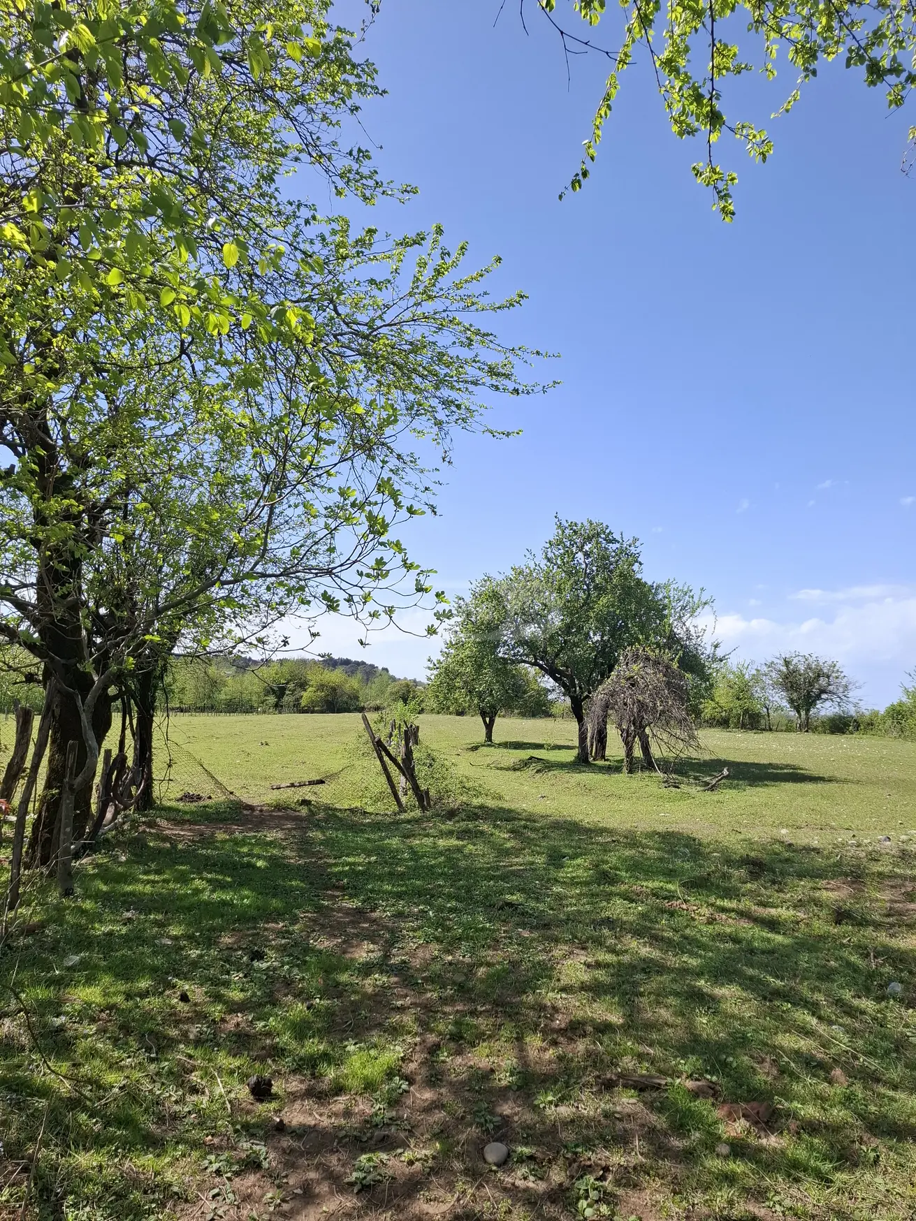 For Sale Sasoplo-Sameurneo Land Plot In Batumi view 3