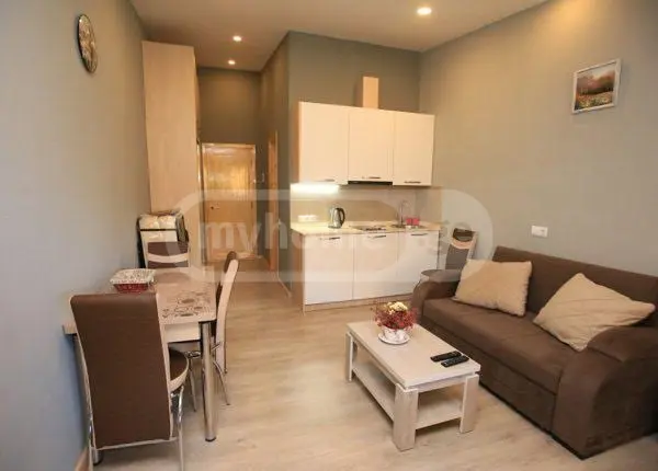 Daily Rent 1 Room Sastumro Bakurianshi, 2 of 12
