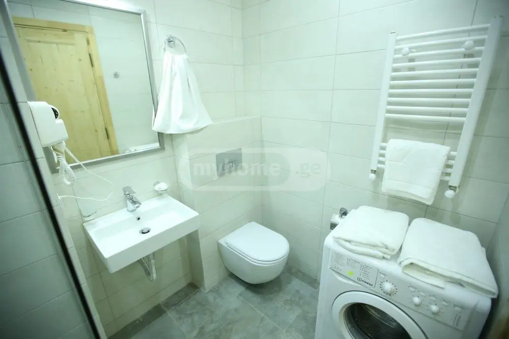 Daily Rent 1 Room Sastumro Bakurianshi, 6 of 12