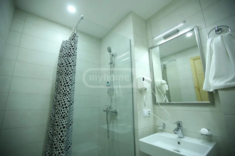 Daily Rent 1 Room Sastumro Bakurianshi, 5 of 12