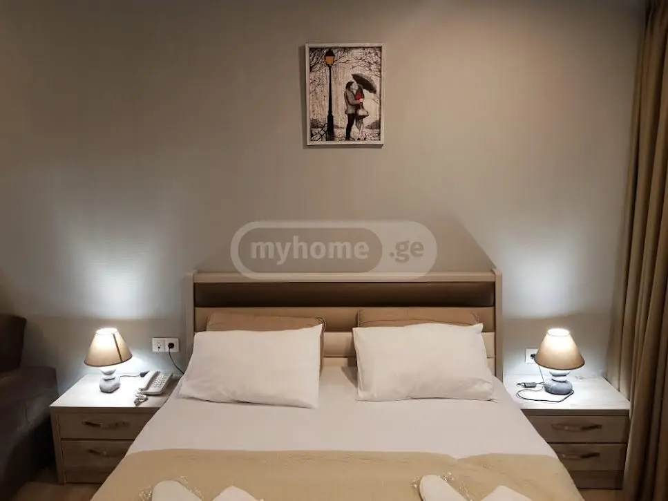 Daily Rent 1 Room Sastumro Bakurianshi, 7 of 12