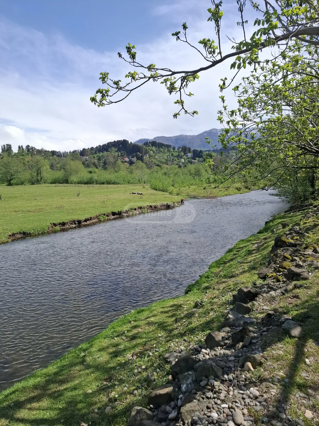 For Sale Sasoplo-Sameurneo Land Plot In Batumi view 1