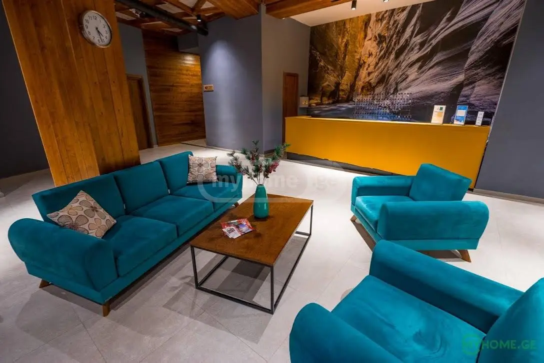 Daily Rent 1 Room Sastumro Bakurianshi, 12 of 12